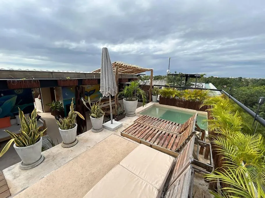 アパート Buluc Luch Ph Para Grupos Con Roof Top Y Alberca Privada トゥルム