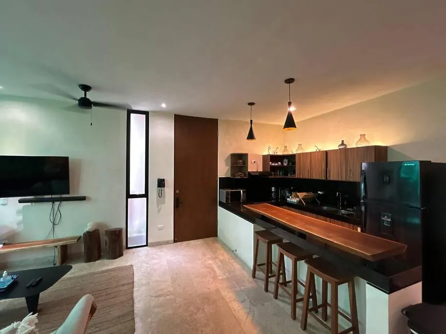 Buluc Luch Ph Para Grupos Con Roof Top Y Alberca Privada Tulum 0*,  Mexiko