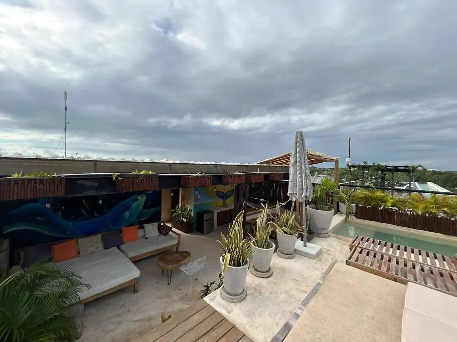 Buluc Luch Ph Para Grupos Con Roof Top Y Alberca Privada Tulum